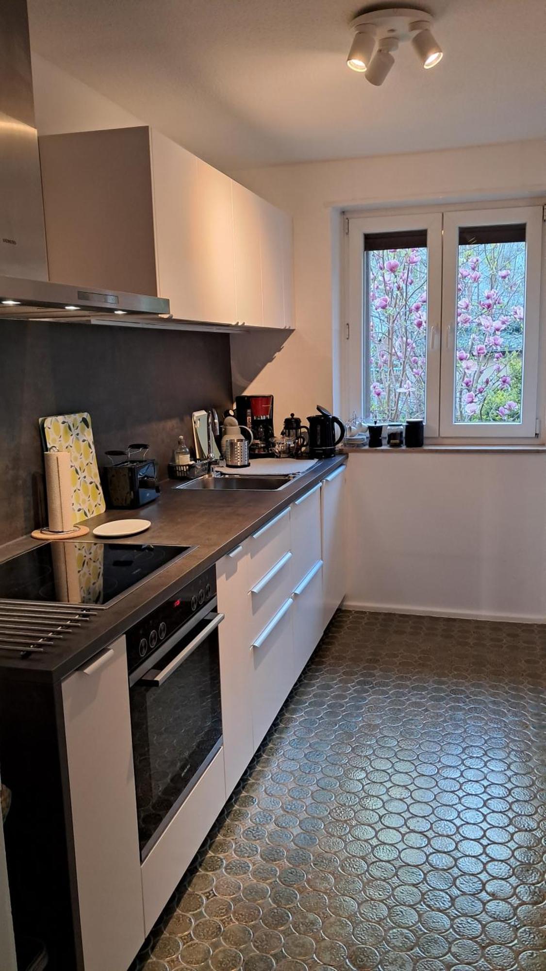 Wohnung Medicus, 3 Zkb, Balkon, Garten, Naehe Stadtpark, Ruhig Kaiserslautern Buitenkant foto