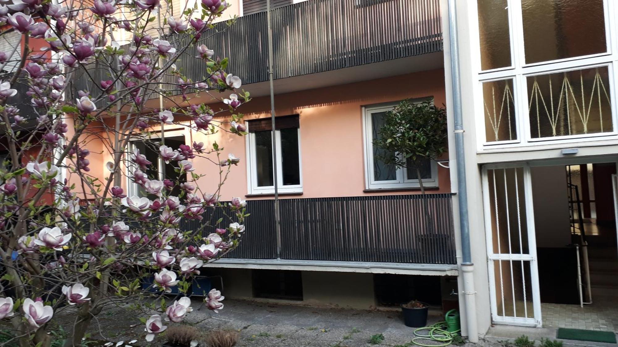 Wohnung Medicus, 3 Zkb, Balkon, Garten, Naehe Stadtpark, Ruhig Kaiserslautern Buitenkant foto